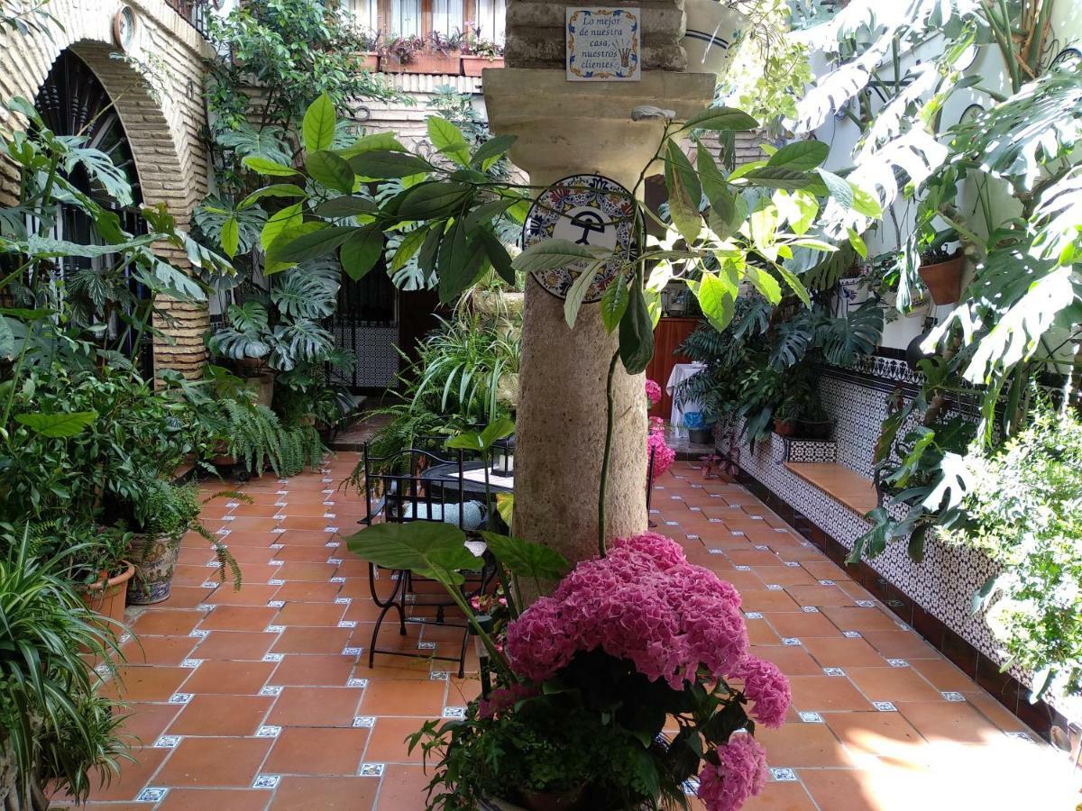 Pension Los Arcos Кордоба Екстериор снимка