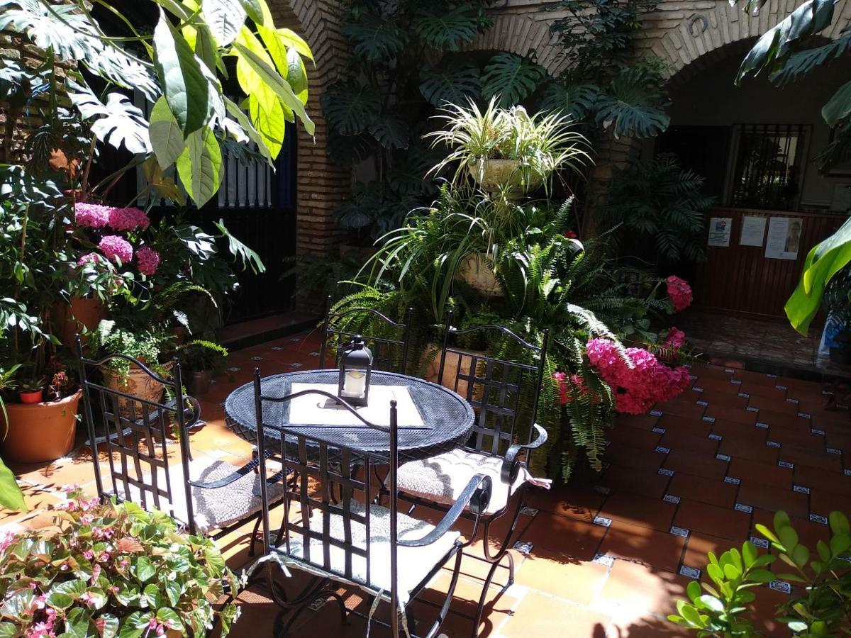 Pension Los Arcos Кордоба Екстериор снимка