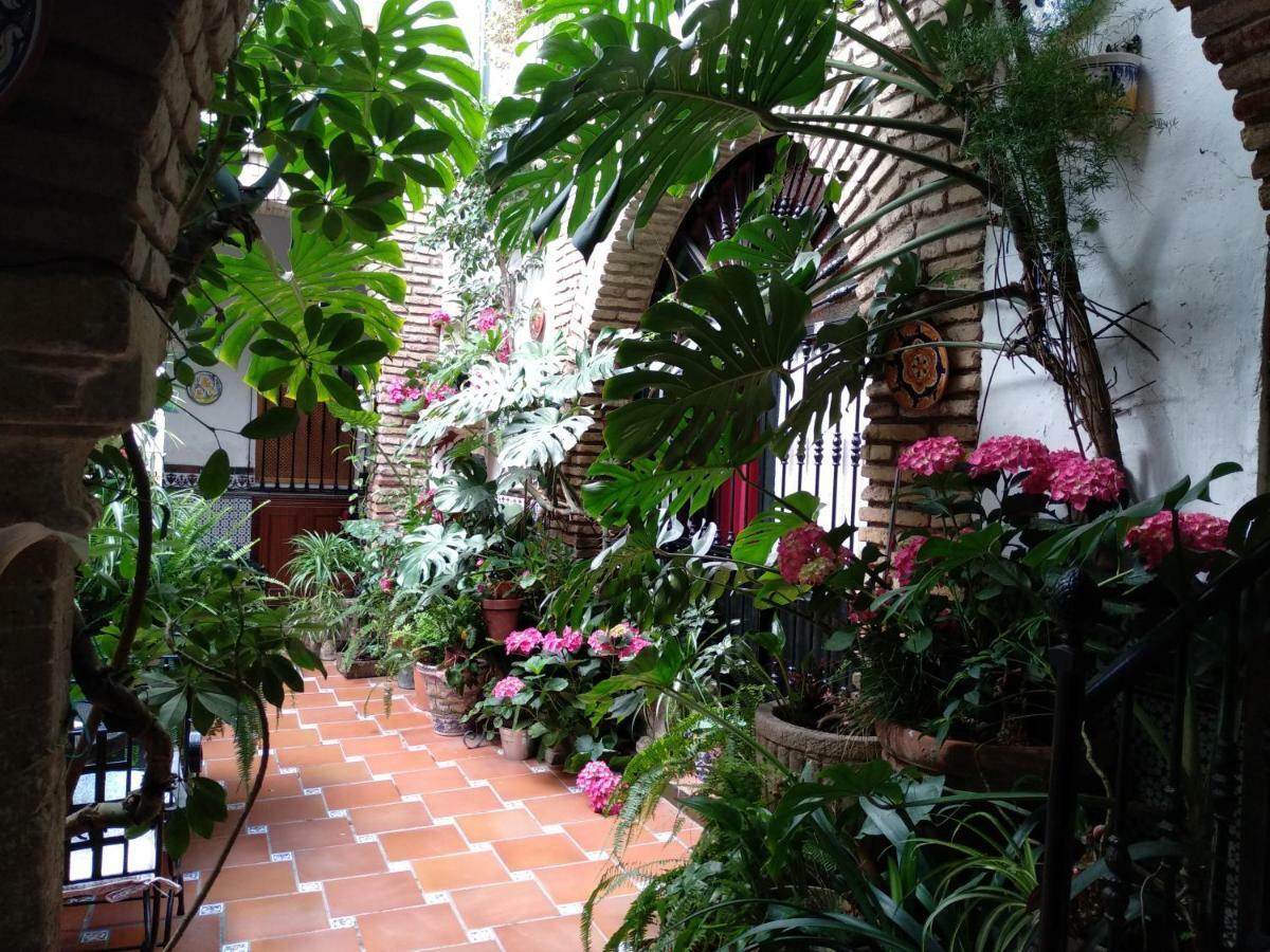 Pension Los Arcos Кордоба Екстериор снимка