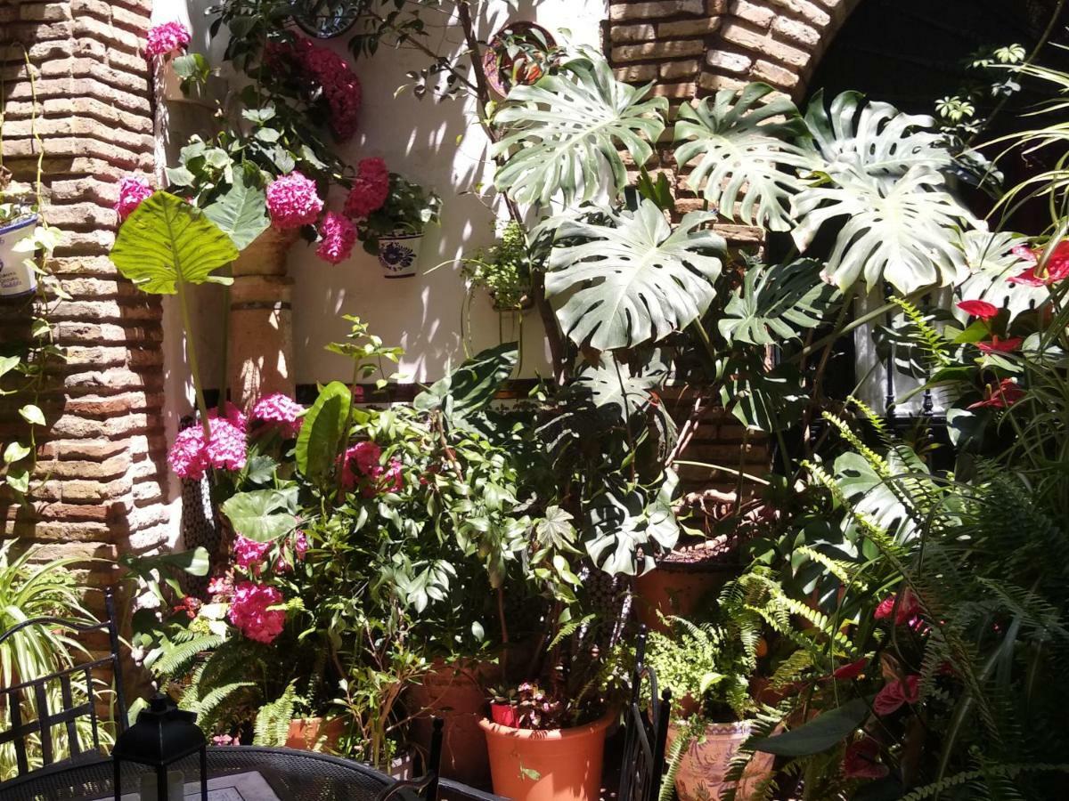 Pension Los Arcos Кордоба Екстериор снимка